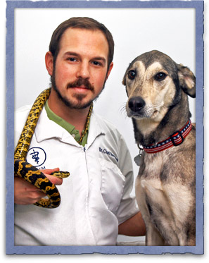 easton, md veterinarian