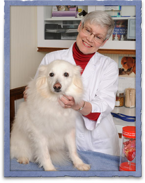 Easton, MD Pet Emergency Care | Pet 911 | Easton, MD